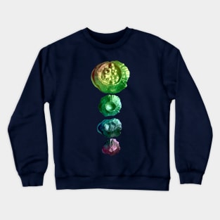 Rainbow Moon Crewneck Sweatshirt